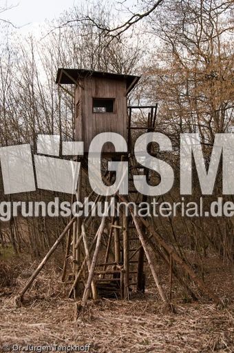 Hochstände (122 von 154).jpg